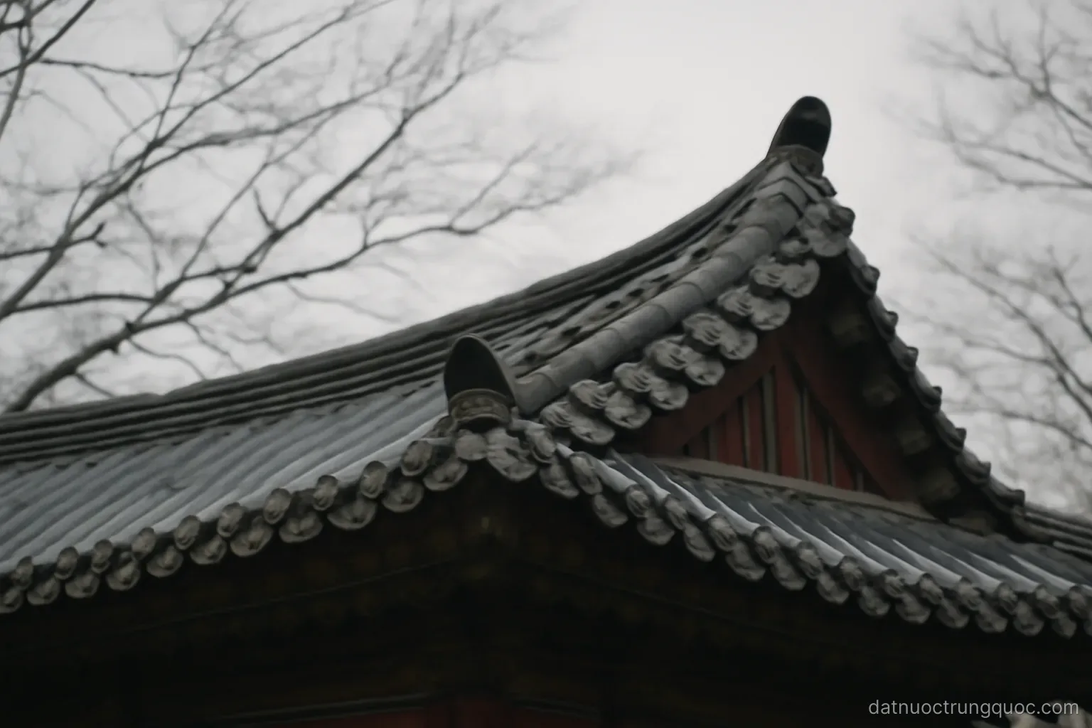 A tiled temple roof with upturned eaves against a pale winter sky, bare tree branches nearby