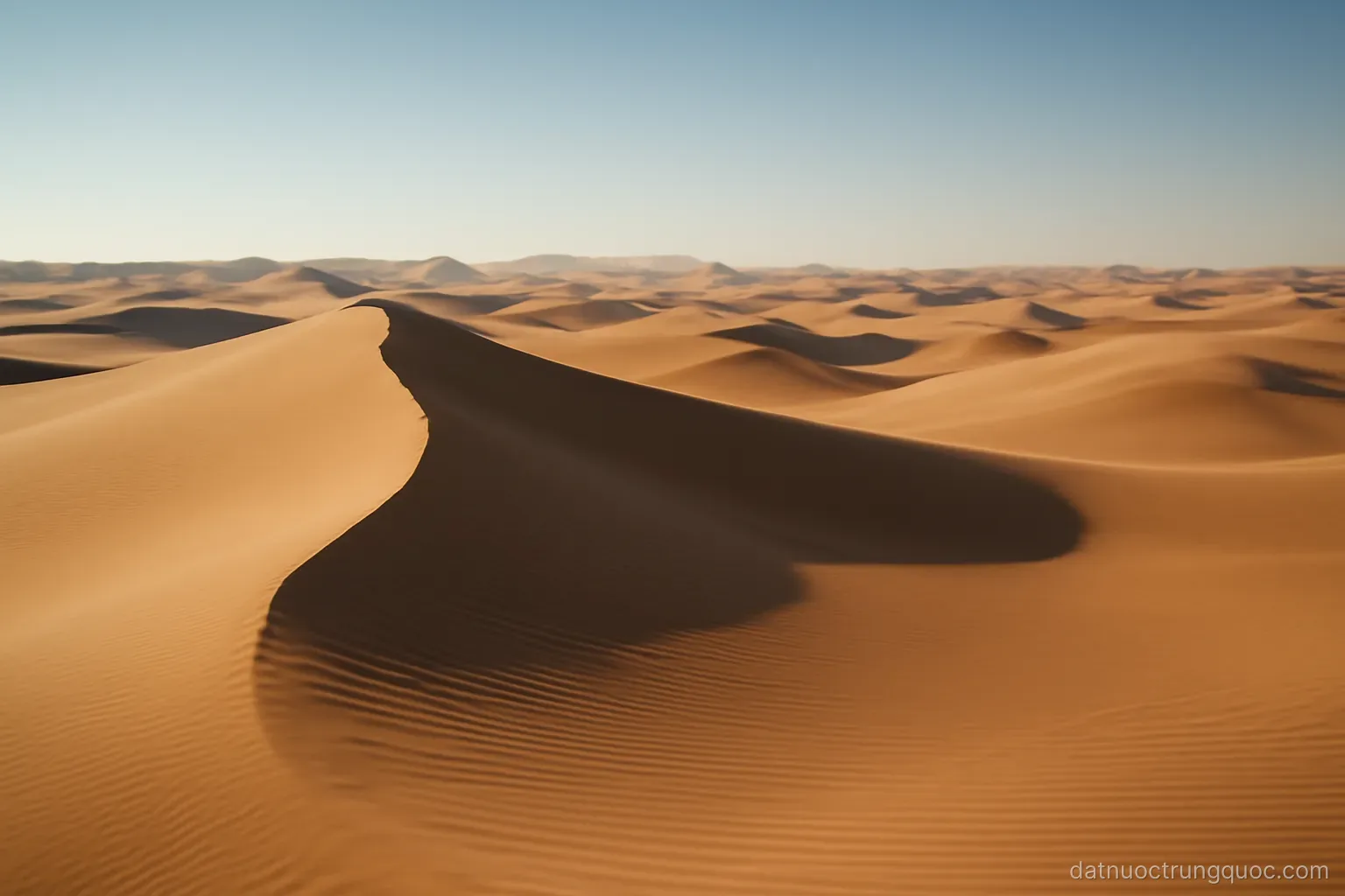 Sand dunes stretching to the horizon under a wide clear sky, ridge lines casting shadows